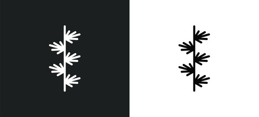 larch leaf icon isolated in white and black colors. larch leaf outline vector icon from nature collection for web, mobile apps and ui. - obrazy, fototapety, plakaty