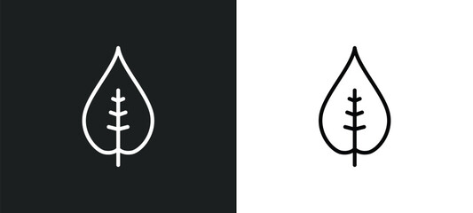 nut leaf icon isolated in white and black colors. nut leaf outline vector icon from nature collection for web, mobile apps and ui.