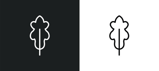 oak leaf icon isolated in white and black colors. oak leaf outline vector icon from nature collection for web, mobile apps and ui.