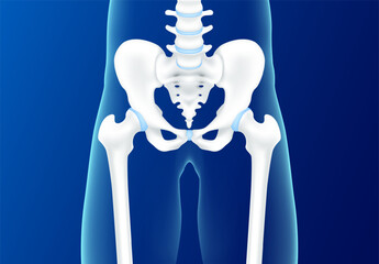 Hip bone and joint cartilage pelvis front on blue background. Human skeleton anatomy healthy. Medical health care science concept. Realistic 3D vector.