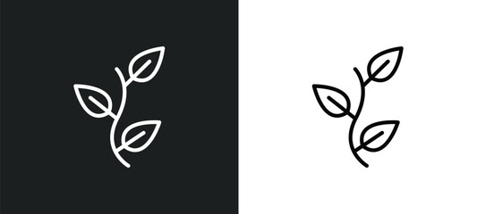 perfoliate icon isolated in white and black colors. perfoliate outline vector icon from nature collection for web, mobile apps and ui.