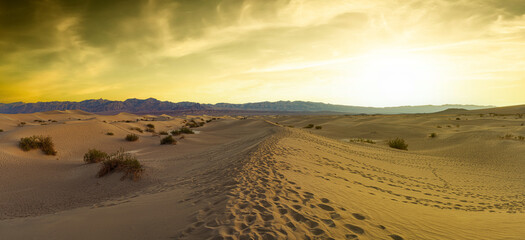 Footprints in sand dunes in Death Valley National Park at sunrise.