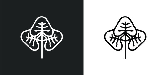 Fototapeta premium reniform icon isolated in white and black colors. reniform outline vector icon from nature collection for web, mobile apps and ui.