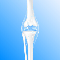 Collagen Vitamins and Calcium magnesium minerals line hexagon connecting surround care bone cartilage knee joint. Healthy human skeleton anatomy isolated on blue background. Realistic 3D vector.
