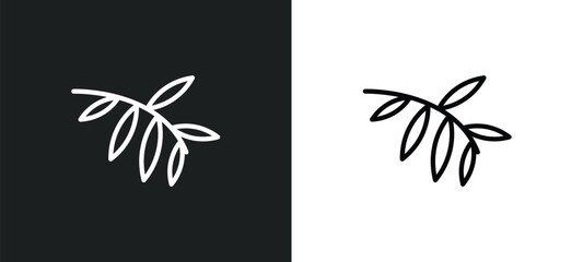 black willow icon isolated in white and black colors. black willow outline vector icon from nature collection for web, mobile apps and ui.