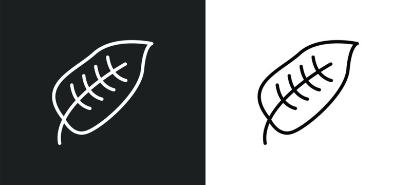ovate icon isolated in white and black colors. ovate outline vector icon from nature collection for web, mobile apps and ui.
