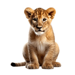 Lion cub sitting , isolated on transparent background cutout , generative ai