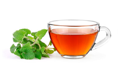 Tea mint in glass cup with mint leaves on white background.