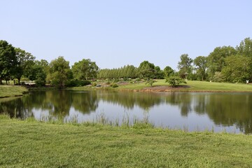 The peaceful pond in the countryside on a sunny day.