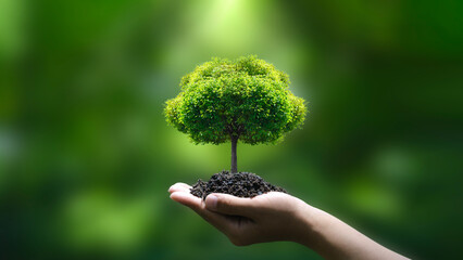 green tree on hand green business ideas Finance and Investment for Sustainability and Carbon Credit - obrazy, fototapety, plakaty