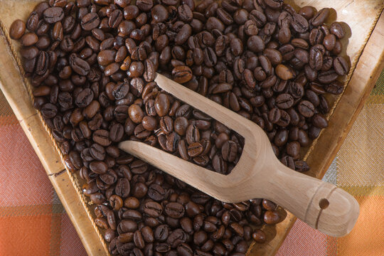 coffee beans in a cup
