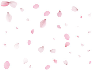 Flying Spring Cherry.