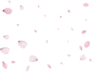 Flying Spring Cherry.