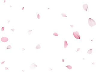 Flying Spring Cherry.
