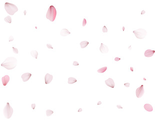 Flying Spring Cherry.