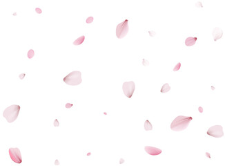 Flying Spring Cherry.