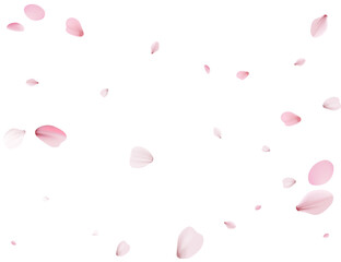 Flying Spring Cherry.