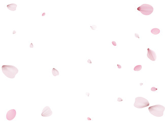 Flying Spring Cherry.