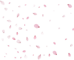 Flying Spring Cherry.