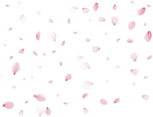 Flying Spring Cherry.