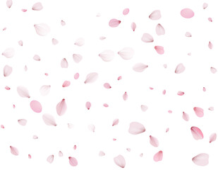 Flying Spring Cherry.