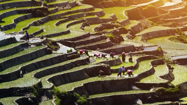 The terraced fields of Y Ty commune, Lao Cai province, Vietnam with a farmers in the beautiful sky