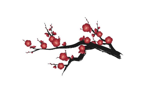 アニメーションする梅の花　赤い梅の枝2　動画素材　　アルファ付き