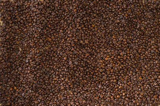 beans background