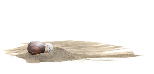 Sea shells in sand pile isolated on white background, side view