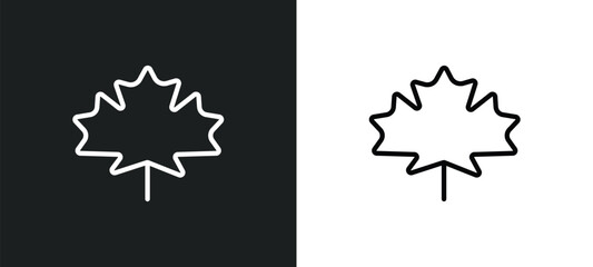 m leaf icon isolated in white and black colors. m leaf outline vector icon from ecology collection for web, mobile apps and ui.