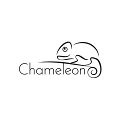 Chameleon line art logo design. Simple modern minimalist animal logo illustration vector.