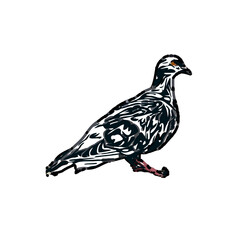Fototapeta na wymiar sketch of a dove with transparent background