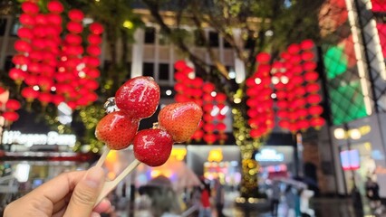Chinese tungulu sugar coated fruit