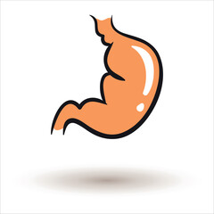 Human stomach with a shadow. Vector on a white background