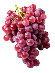 Fototapeta premium violet grapes isolated on transparent background. png grape. clip art. Ripe red wet grape with drops