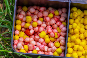fishing tackle bait, fishing river. Selective focus.
