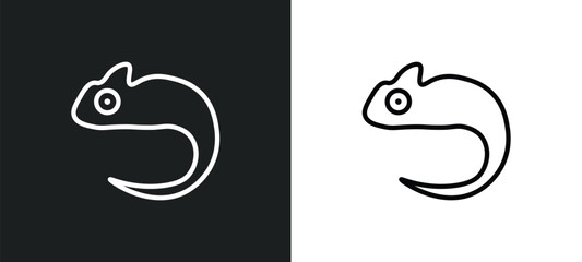 chameleon icon isolated in white and black colors. chameleon outline vector icon from animals collection for web, mobile apps and ui. © Farahim