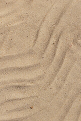 Fototapeta na wymiar Sand on the beach texture close up