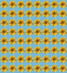 seamless pattern with sunflowers
