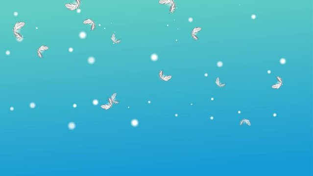 Abstract falling wings background and 2d animation 4k, feather 