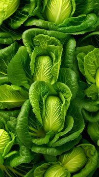 Fresh pekines cabbage seamless background. Top view, close up, AI generated