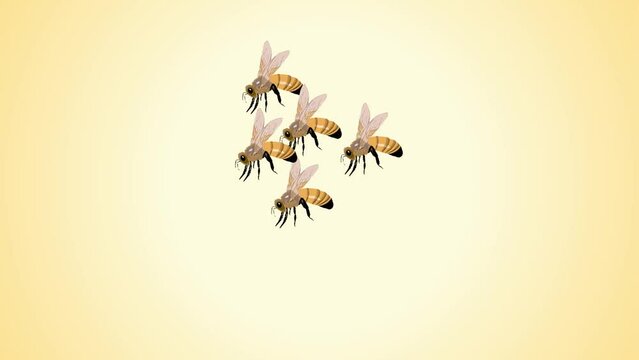 honey bees , flying bees, hornet
