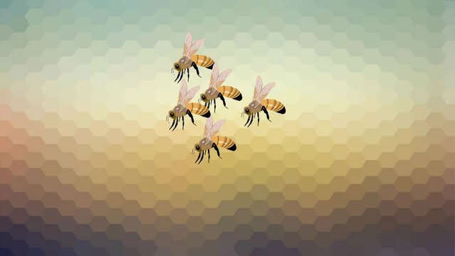 honey bees, flying bees, hornet