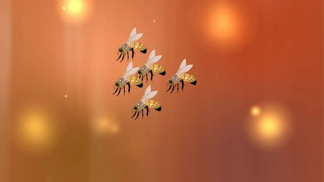 honey bees , flying bees, hornet