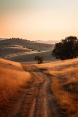 Gravel Road leading into a hilly landscape at sunset