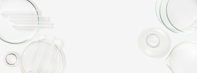 Petri dishes, flasks, test tubes. On a light background. Laboratory. Banner. empty space for advertising