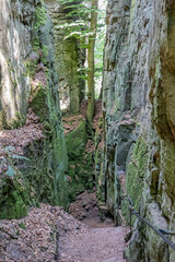 Narrow slot between two rock formations in nature reserve Teufelsschlucht, a tree and sunlight in background, wall with grooves and irregular texture sunny summer day in Ernzen, Germany