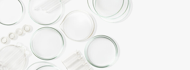 Petri dishes, flasks, test tubes. On a light background. Laboratory. Banner. empty space for...