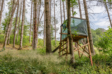 Rustic raised wildlife observation point or deer blind among wild vegetation and tree trunks with...