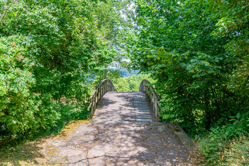 Obraz premium Stone path leading to a wooden arch bridge among foliage of green leafy trees, misty background, sunny spring day in nature reserve at Echternach, Luxembourg